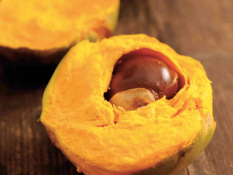 Lucuma 2