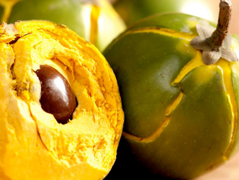 Lucuma