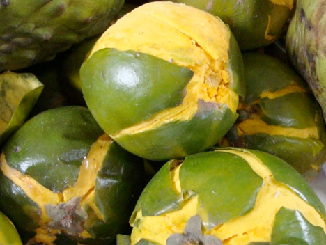 Lucuma 5