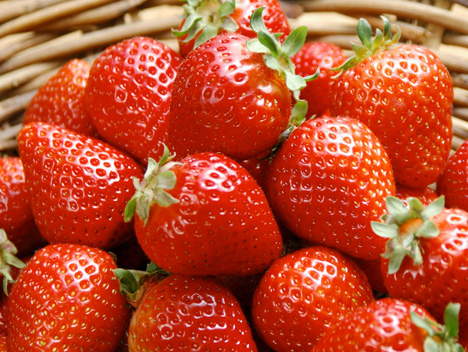 Fresas