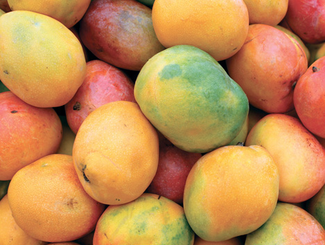 Mango