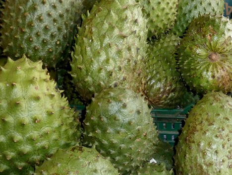 Guanabana