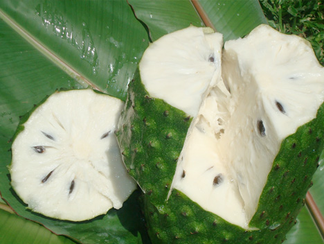 Guanabana