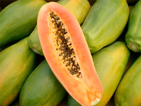 Papaya