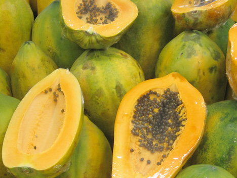 Papaya