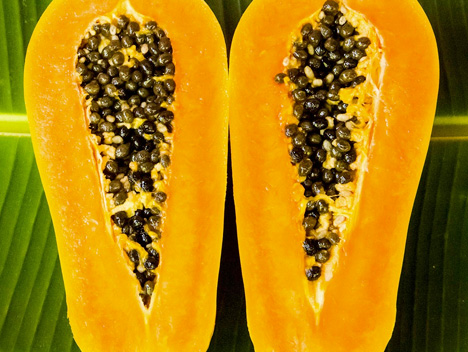 Papaya